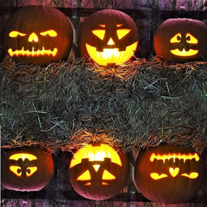 Talking Animated Pumpkins - Yourworldshop