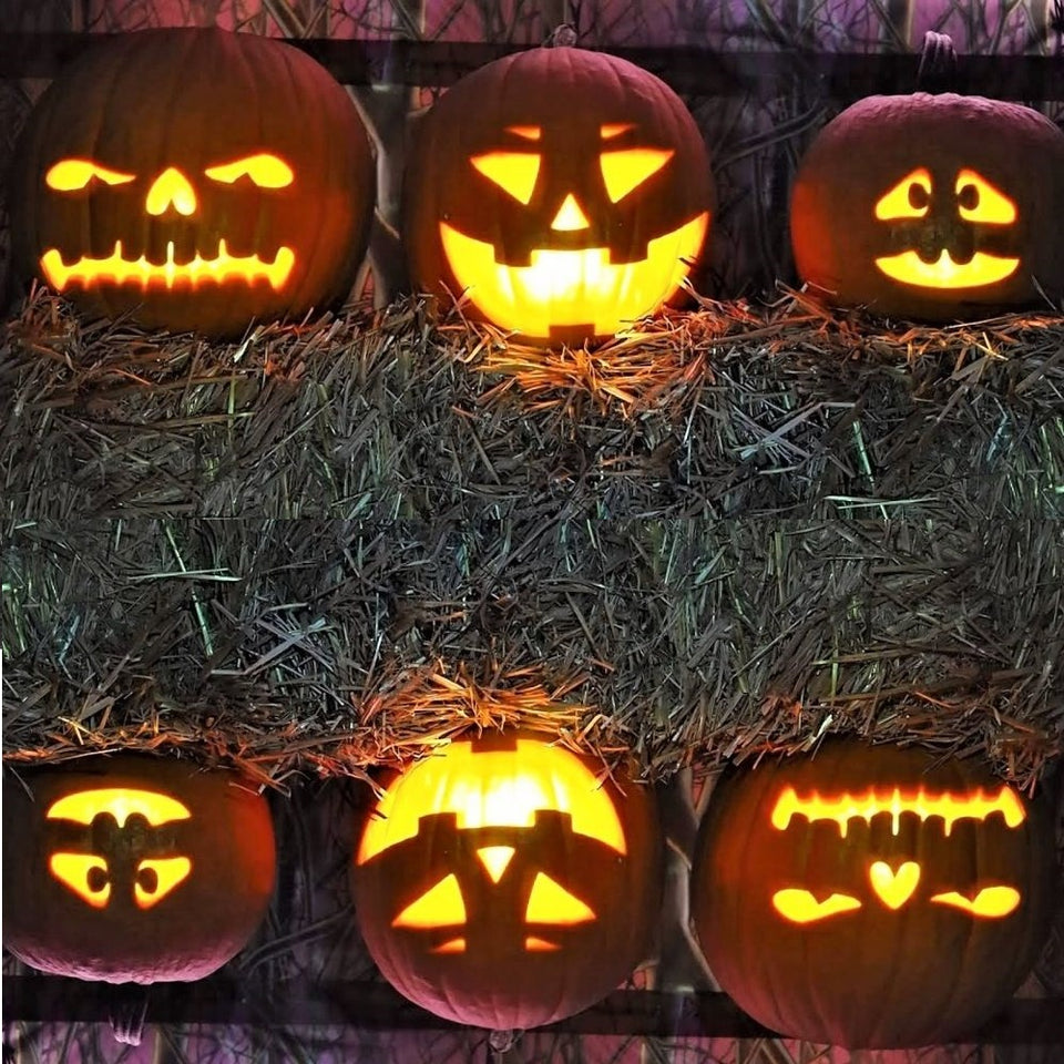 Talking Animated Pumpkins - Yourworldshop