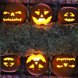Talking Animated Pumpkins - Yourworldshop