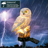 Solar Powered Owl Light