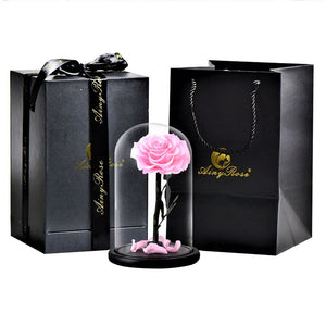 Preserved Rose In Glass Dome + Gift Box