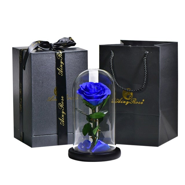 Preserved Rose In Glass Dome + Gift Box