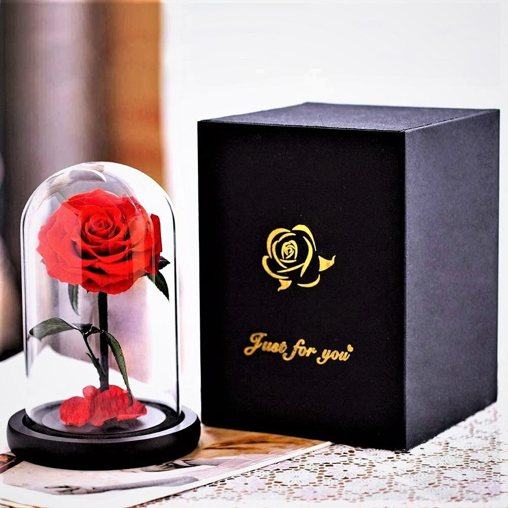 rose in glass dome preserved with gift box