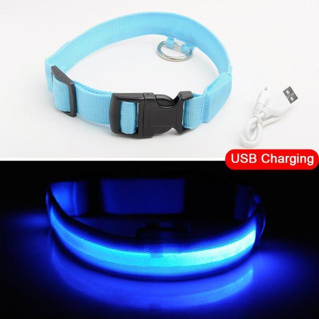 YourWorldShop Blue USB Charging / S 35-43 CM LED Dog Anti-Lost Nylon Collar 18676569-blue-usb-charging-s-35-43-cm