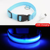 YourWorldShop Blue USB Charging / S 35-43 CM LED Dog Anti-Lost Nylon Collar 18676569-blue-usb-charging-s-35-43-cm