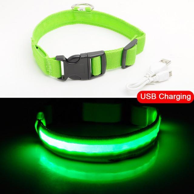 YourWorldShop Green USB Charging / S 35-43 CM LED Dog Anti-Lost Nylon Collar 18676569-green-usb-charging-s-35-43-cm