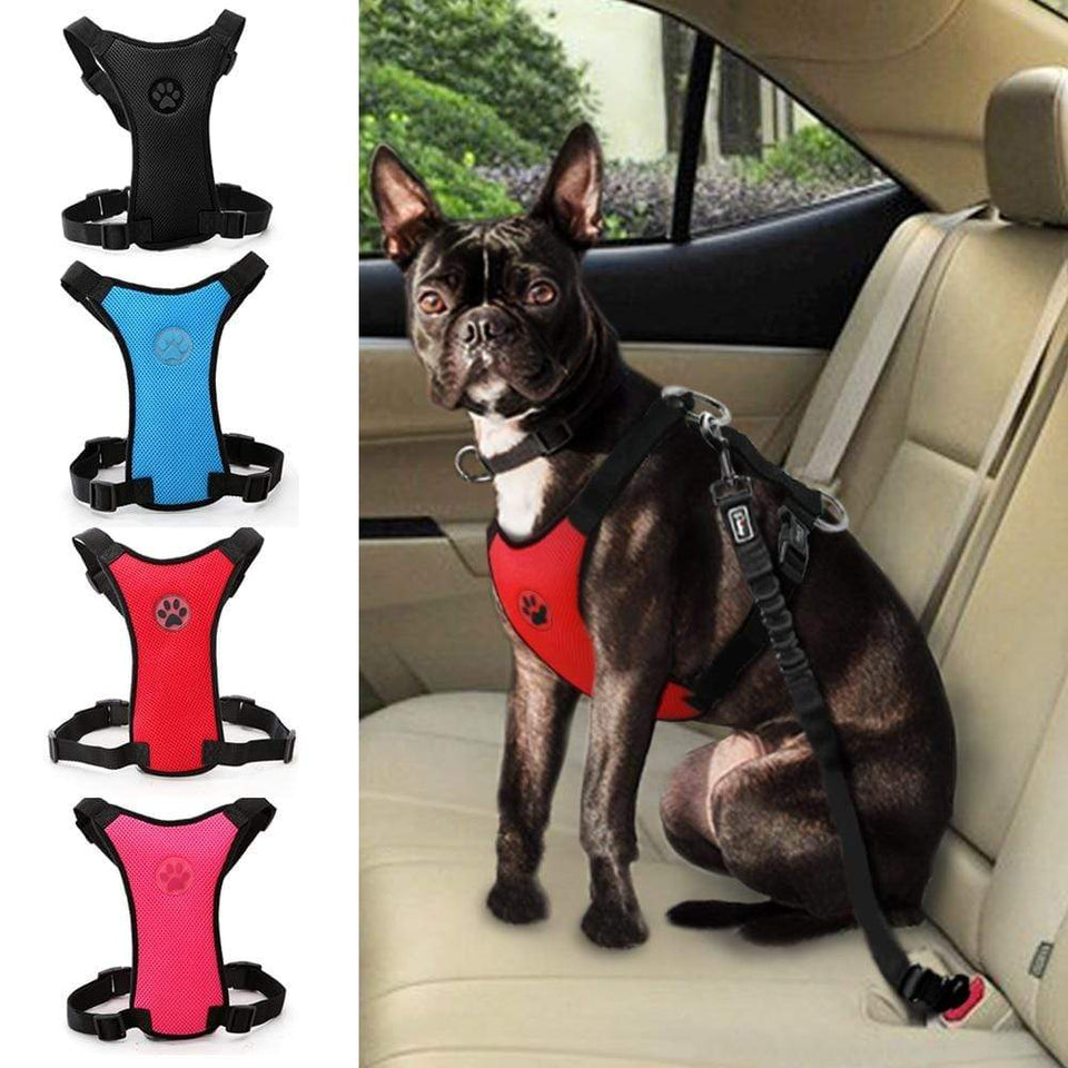 YourWorldShop pet products Rose / S Dog Car Harnes Travel Seat Belt 20149997-rose-s