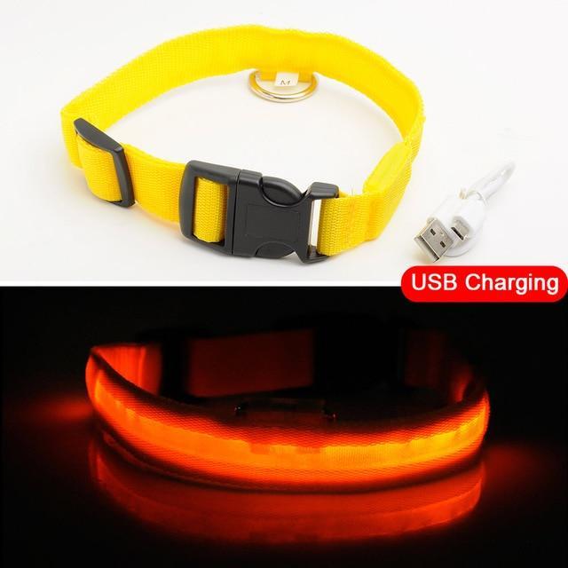 YourWorldShop Yellow USB Charging / S 35-43 CM LED Dog Anti-Lost Nylon Collar 18676569-yellow-usb-charging-s-35-43-cm
